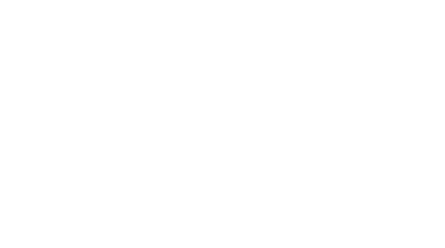 Solabia Nutrition